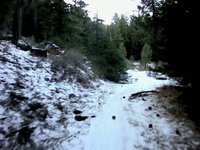 Mountain Biking, Frazier Park, Mt. Pinos 11.14.09