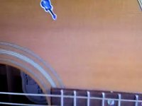 Bajo dos tricolores