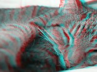 3D Jesse