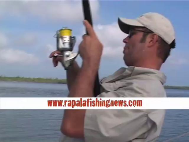 Mark Berg Catches Blue Salmon In Far North Queensland With Rapala Fishing Tackle