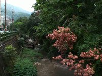 Beitou November 2009