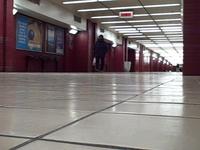 Port Authority