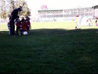 Brooklyn Goal!