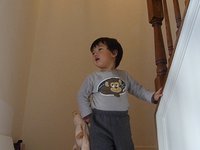 Aiden's Love for Piggy