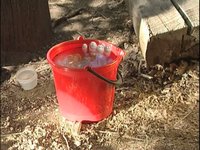 Campaña Dengue: Tirar - Tapar - Limpiar 09