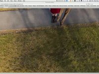 The Hermans