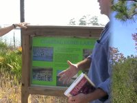 Into The Wild Eco Diversions