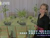ISES Morning Show