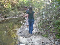 Huntsville Wilderness