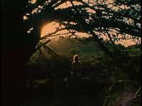 Vivid Dreams