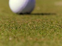 PLAYBOY GOLF 2009 (Semi-Finals)