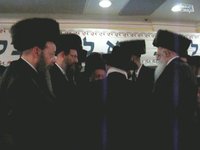 סערט ויזניץ נארל
