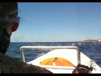 Boat Trips