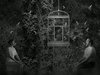 The Vimeo HD Channel