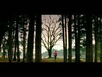 The First Days of Spring - A Film By Noah And The Whale