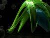 Visual Effects & Motion Graphics