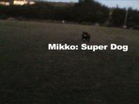 Nov 24 - Super Dog