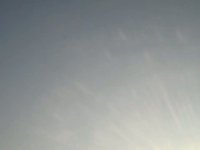 Kite