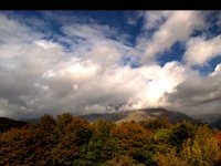 Otoño Borroso