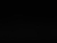 VCD 281 Animation Techniques I /Splash Animations 1