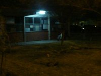 Kryz y su tarea