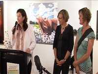 Meroogal Women's Arts Prize 2009