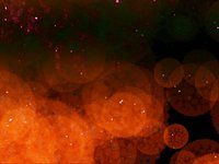 Biological Particles test 11.2009
