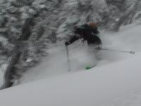 Front flip