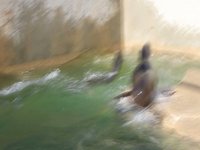 November 27, 2009 - Miller Park Zoo