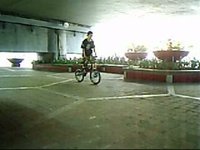marco maco taylo
