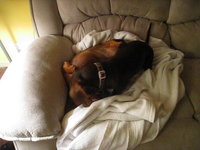 Maddie and Coco Playing