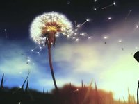 Dandelion_New