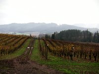 Forest Grove, Oregon