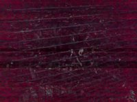 V281109 15.58