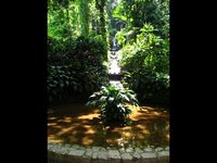 Jardim Botânico