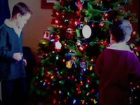 holiday tree 2009