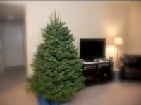 Decorating the Christmas Tree (2009)