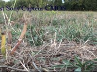 Test Camescope Sony - AVS66