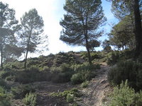 Alternativos "DarkSide" Fenasosa BikePark