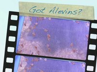 We got Alevins!