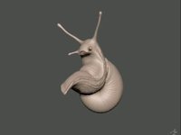 the snail