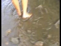 watervj