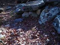 Cacapon Hike