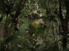 Beyond Nature HD