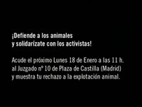 Juicio a los activistas de Igualdad Animal que saltaron a la Pasarela Cibeles
