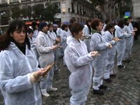Convocatoria por el Día Internacional de los Derechos Animales 2009