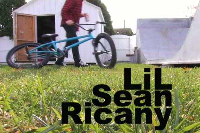 Sean Ricany Premium Video video on savevid.com. Download videos in flv, mp4, avi formats ea 1