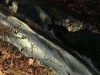 Falls on Cow Rock Crk.