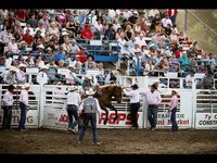 Omak Stamped and World Famous Suicide Race