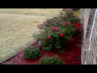 The first snow fall of winter